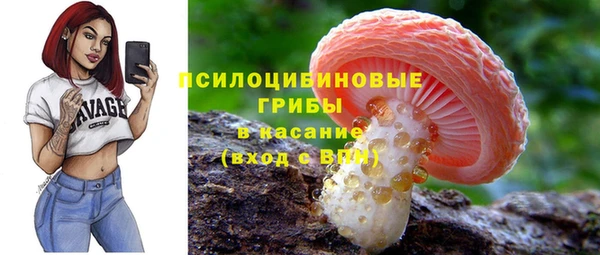 ПСИЛОЦИБИНОВЫЕ ГРИБЫ Магадан